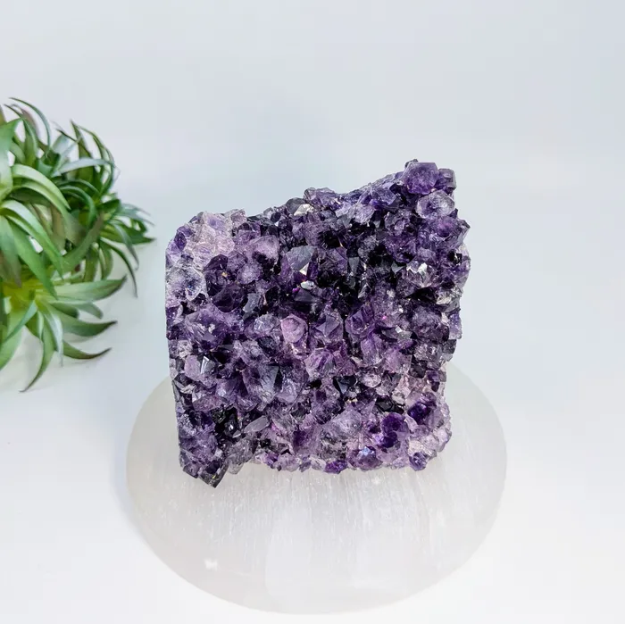 Amethyst 35 Cut Base Geode LV7287 Bliss Crystals Rings