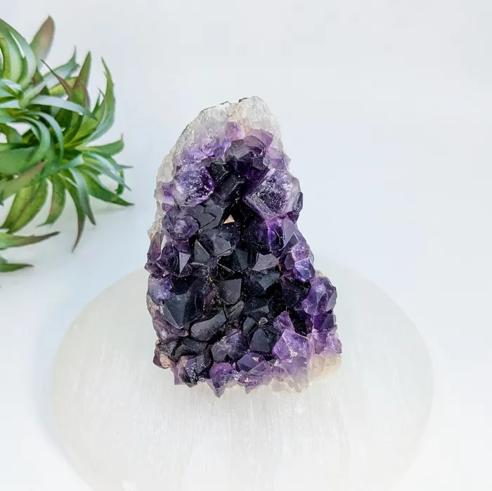 Bliss Crystals Rings Amethyst 3 Cut Base Geode LV7284